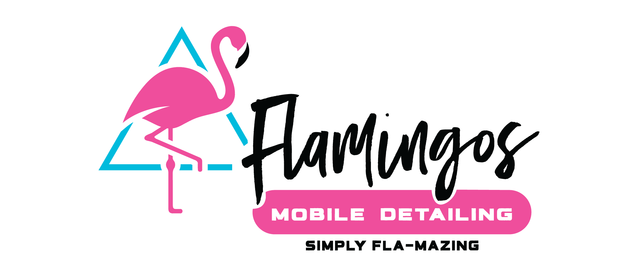 Flamingo's Mobile Detailing