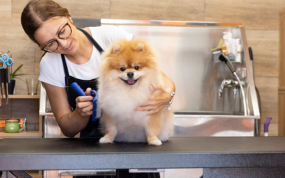 Why Pet Businesses Choose Decelle Branding